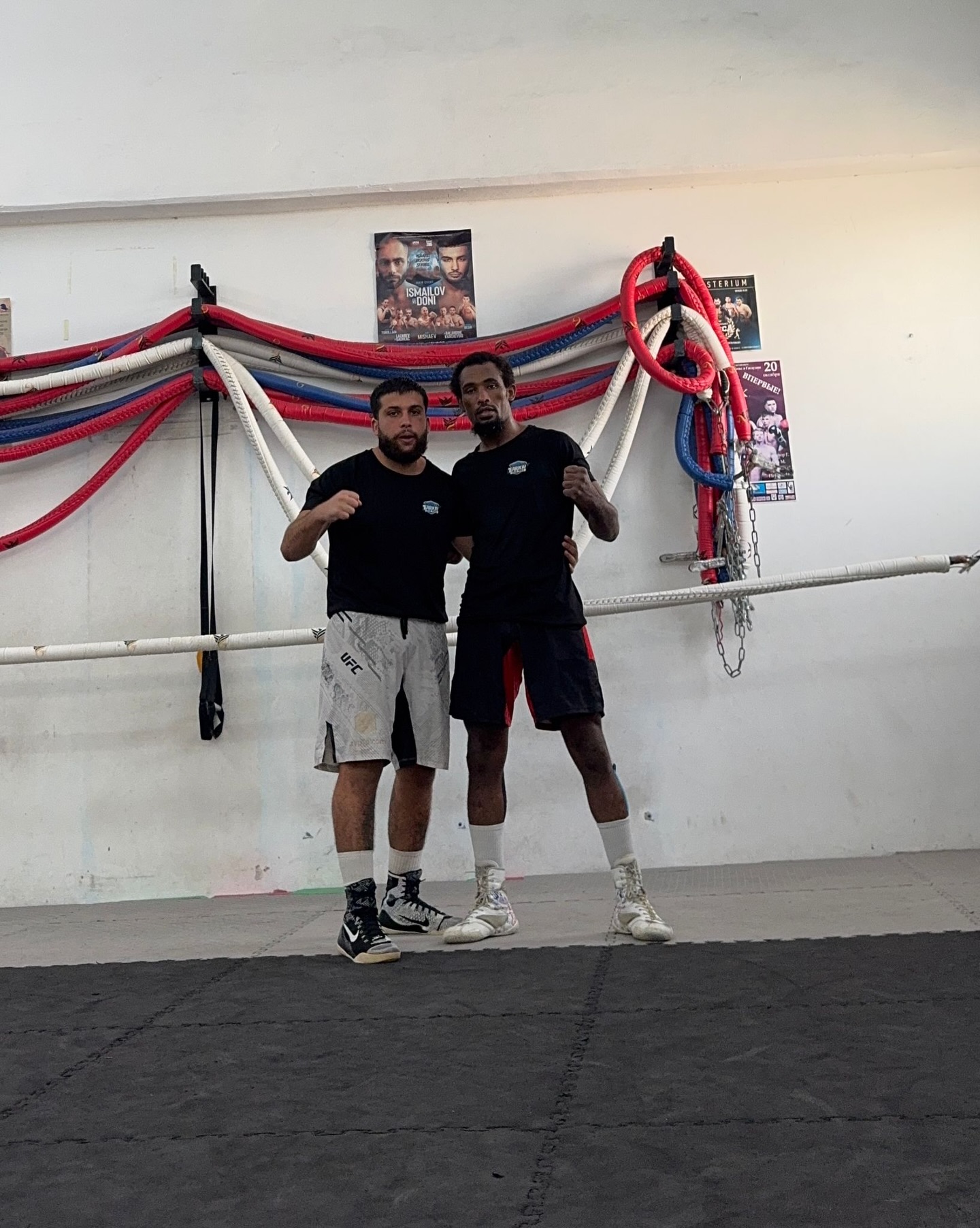 אלעזר טריקו - תמונה 4